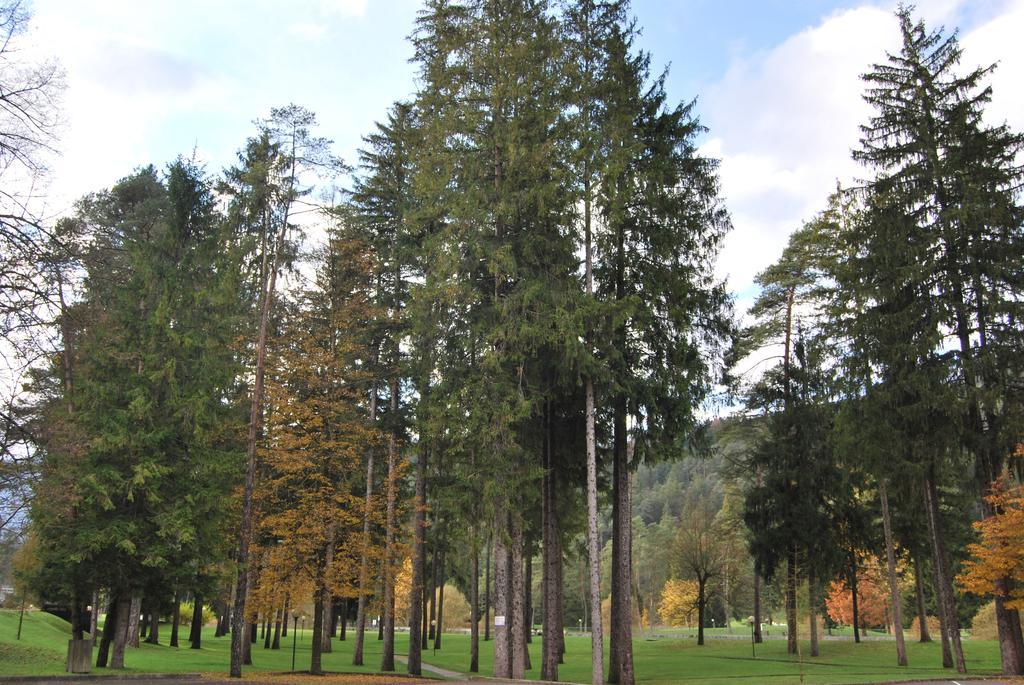 Residenza Finestra Sul Parco Apartamento Comano Terme Exterior foto